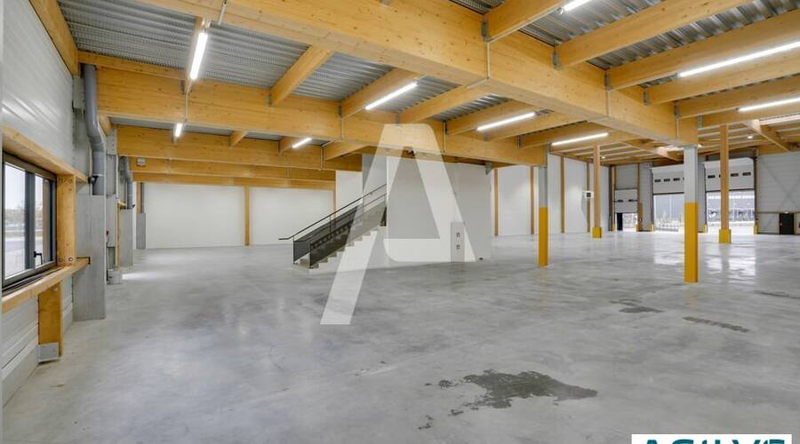 REXIM - Entrepôt - Brie-Comte-Robert - 2