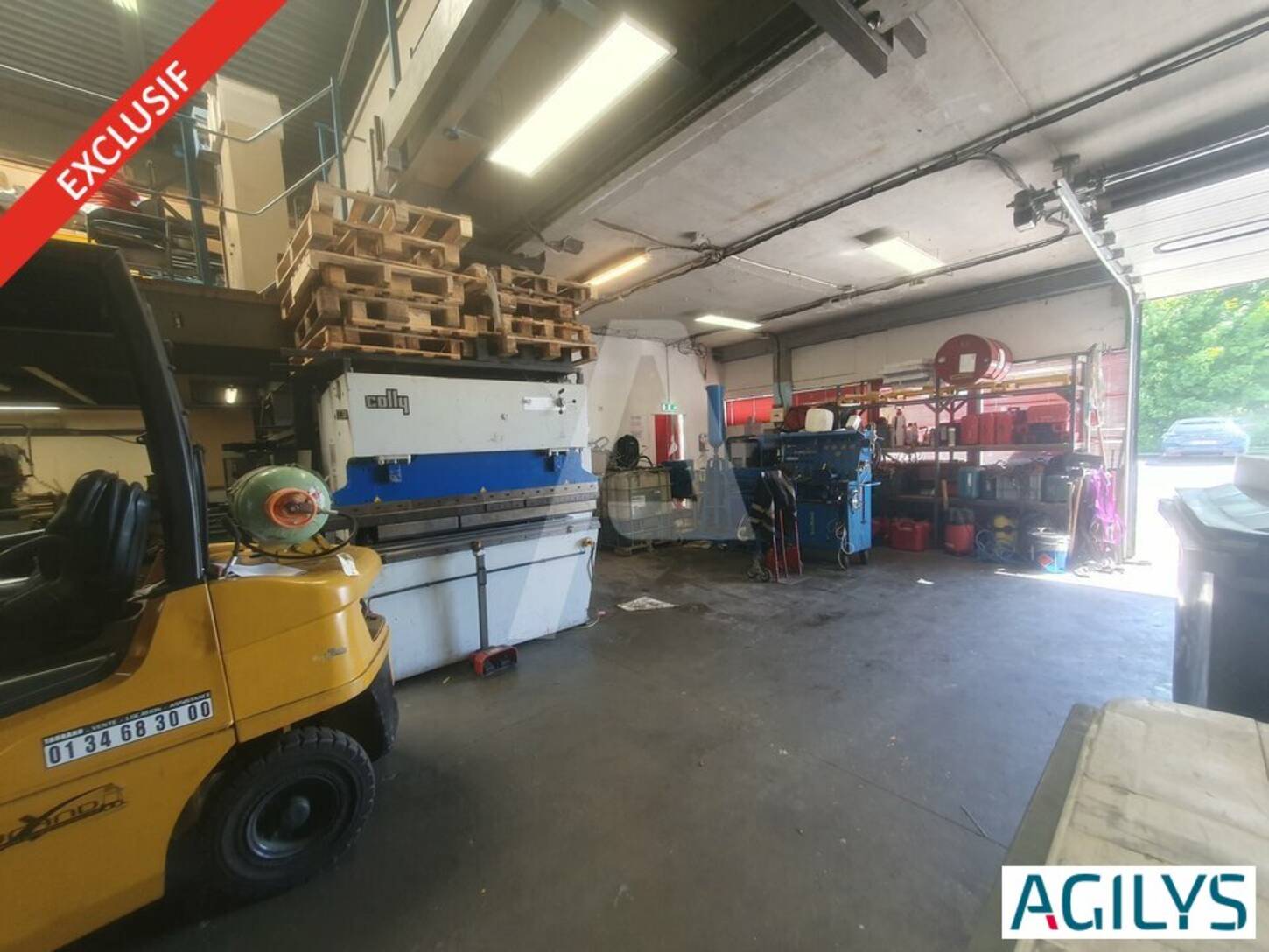 REXIM - Entrepôt - Savigny-le-Temple - 2