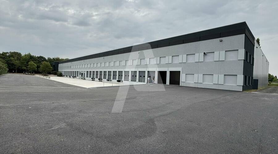 REXIM - Entrepôt - Lisses - 3