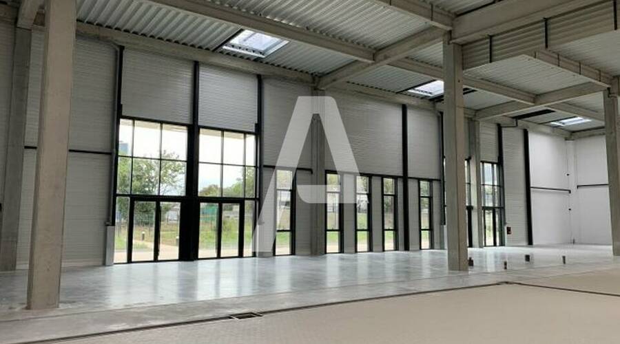 REXIM - Entrepôt - Sucy-en-Brie - 3