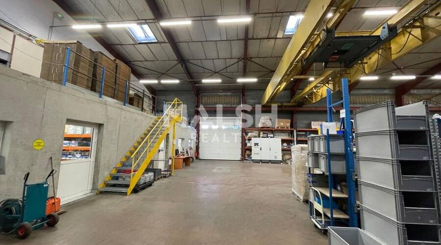 REXIM - Local d'activités - Rhône - Messimy - 3