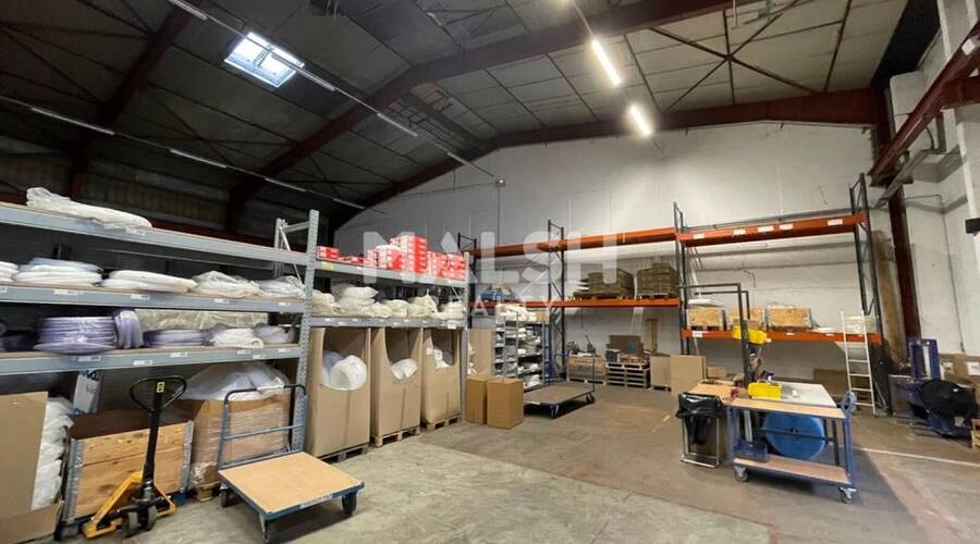 REXIM - Local d'activités - Rhône - Messimy - 5