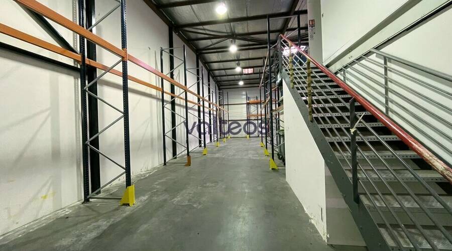 REXIM - Local d'activités - Haute-Garonne - Toulouse - 12