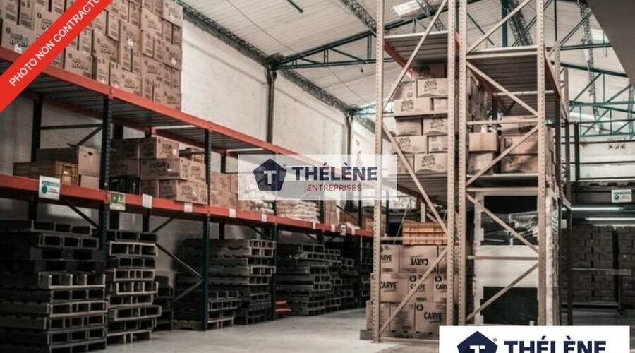 REXIM - Local commercial - Hérault - Lattes - 2