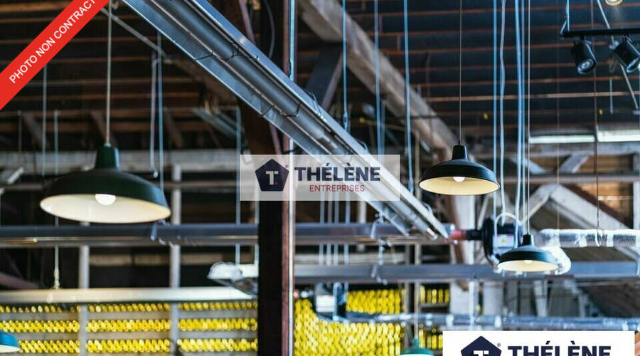 REXIM - Local commercial - Hérault - Lattes - 4