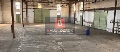 REXIM - Local d'activités - Bouches-du-Rhône - Châteaurenard - 1