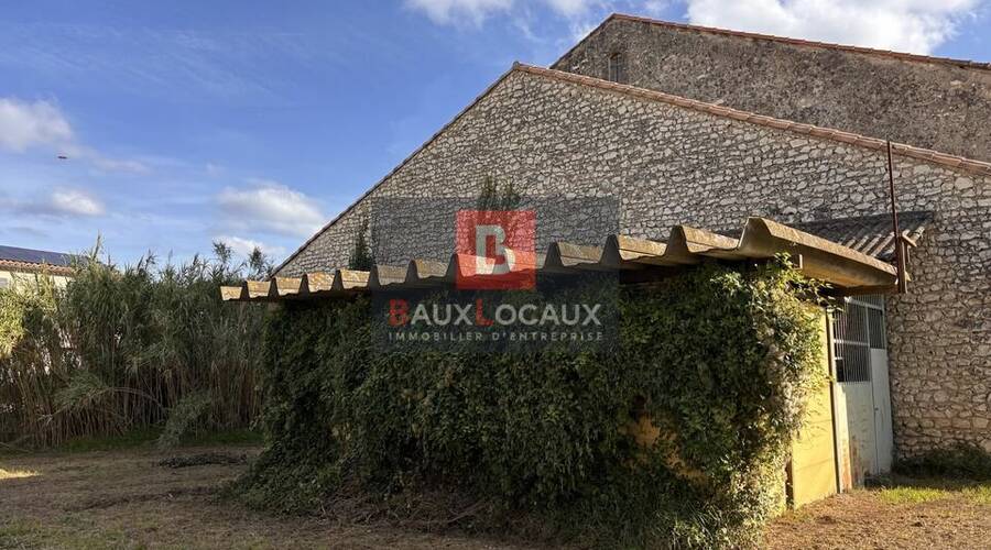 REXIM - Local d'activités - Bouches-du-Rhône - Châteaurenard - 8