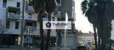 REXIM - Local commercial - Hérault - Montpellier - 5