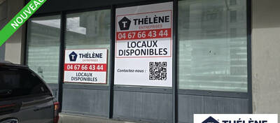 REXIM - Local commercial - Hérault - Montpellier - 2