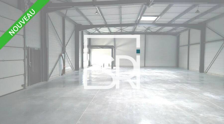 REXIM - Entrepôt - Puy-de-Dôme - Cournon-d'Auvergne - 3