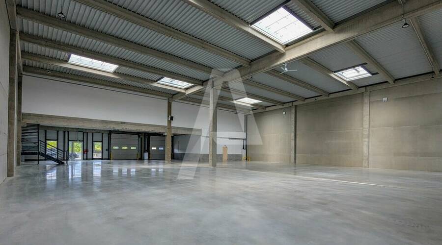 REXIM - Entrepôt - Yvelines - Élancourt - 4