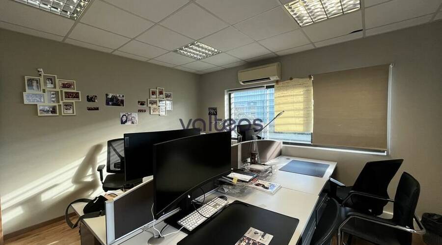 REXIM - Local d'activités - Haute-Garonne - Montrabé - 5