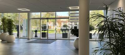 REXIM - Bureau - Rhône - Caluire-et-Cuire - 3