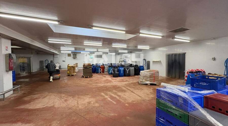 REXIM - Local d'activités - Rhône - Montagny - 5