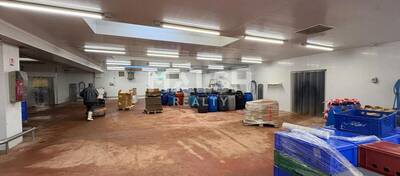 REXIM - Local d'activités - Rhône - Montagny - 5