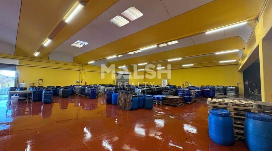 REXIM - Local d'activités - Rhône - Montagny - 2