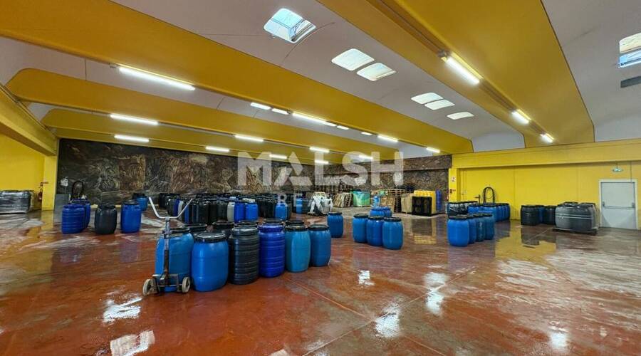 REXIM - Local d'activités - Rhône - Montagny - 3