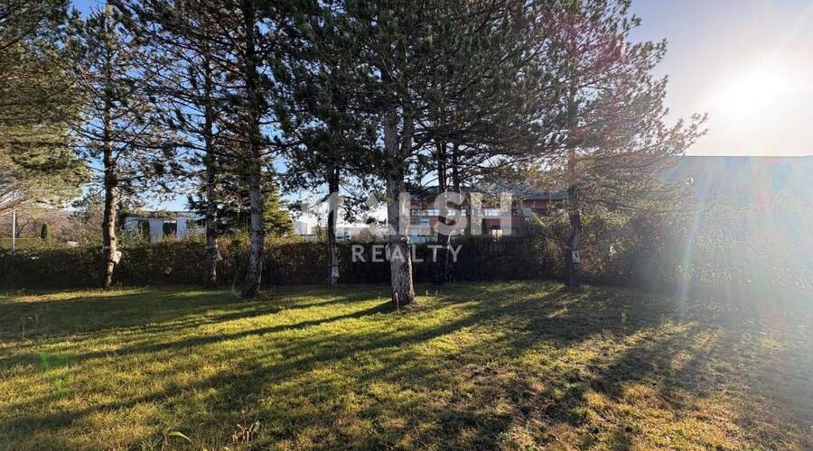 REXIM - Local d'activités - Rhône - Montagny - 17