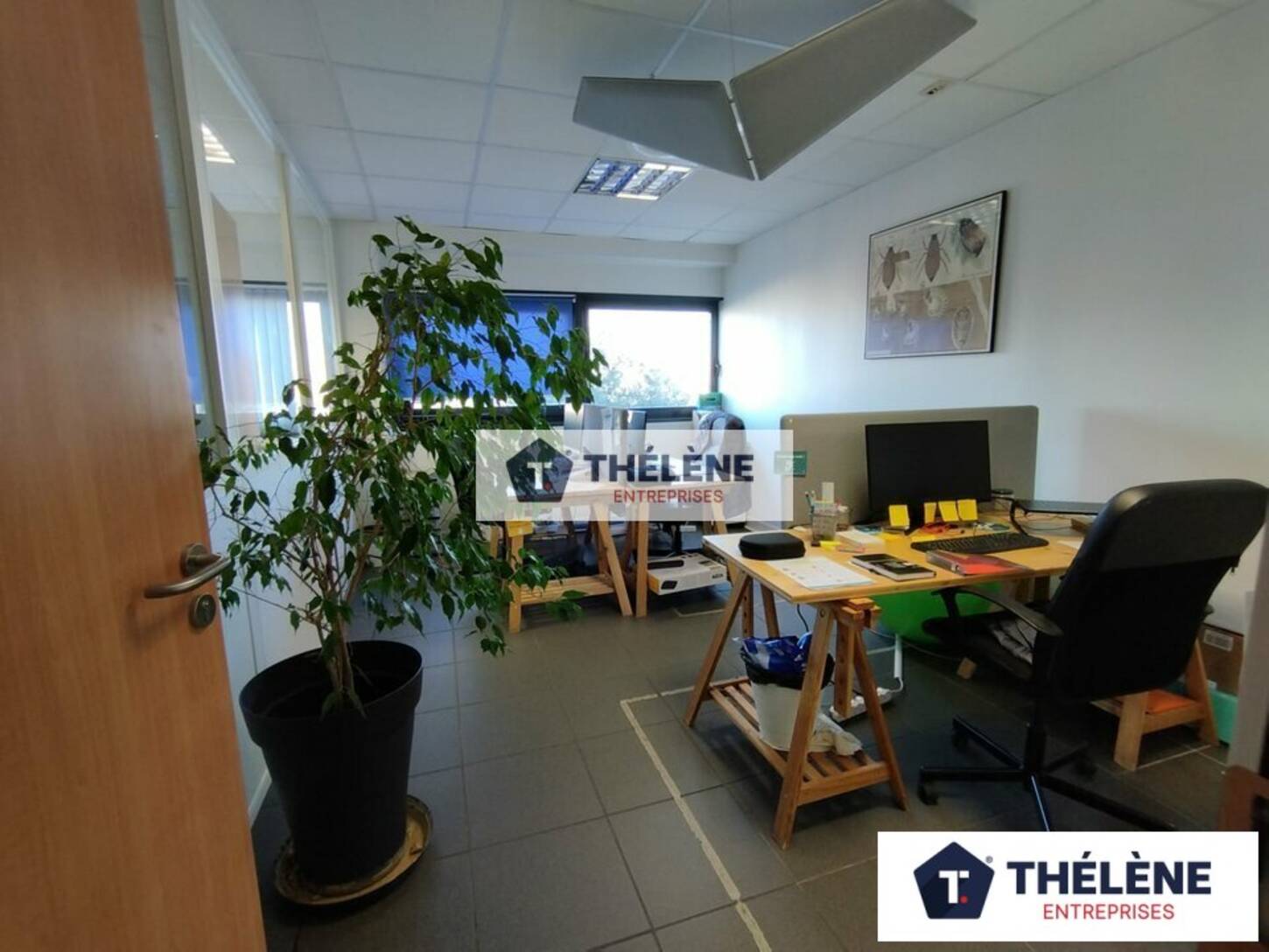 REXIM - Bureau - Hérault - Pérols - 2