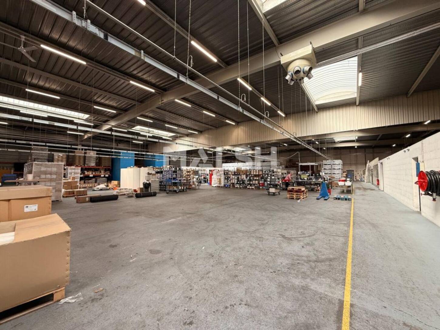 REXIM - Local d'activités - Rhône - Villeurbanne - 2