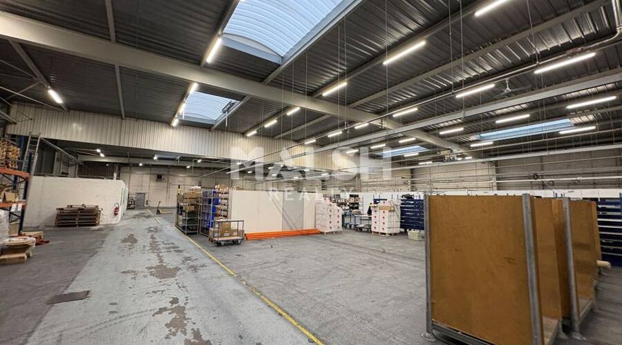 REXIM - Local d'activités - Rhône - Villeurbanne - 7