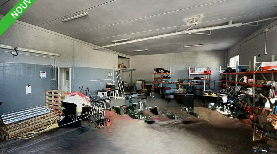 REXIM - Local d'activités - Hérault - Saint-Georges-d'Orques - 1