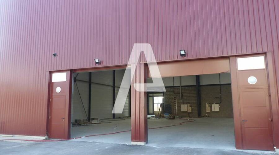 REXIM - Entrepôt - Saint-Pierre-du-Perray - 3