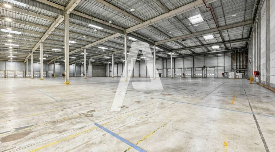 REXIM - Local d'activités - Moissy-Cramayel - 1