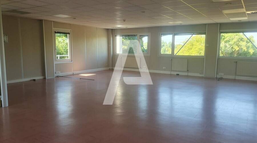 REXIM - Entrepôt - Saint-Thibault-des-Vignes - 5