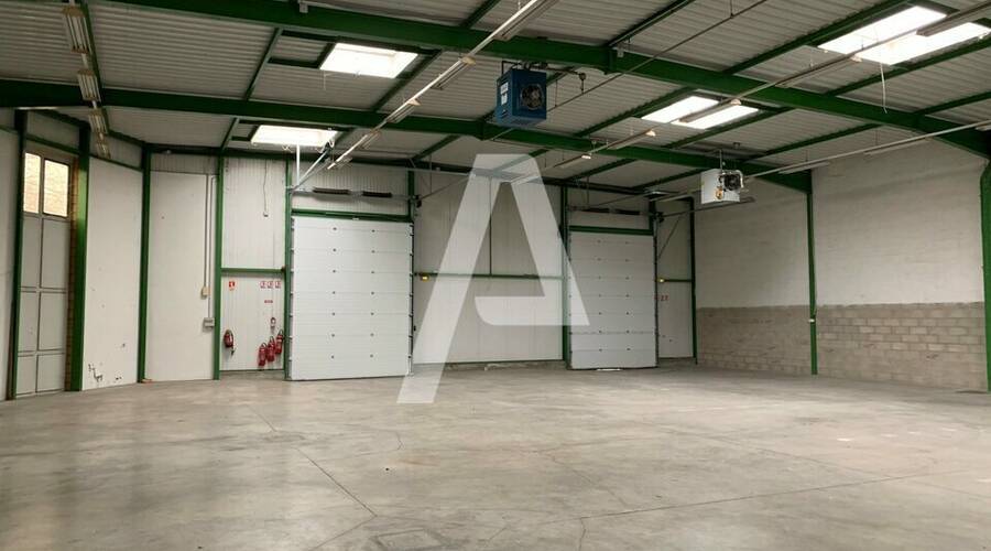 REXIM - Entrepôt - Saint-Thibault-des-Vignes - 2