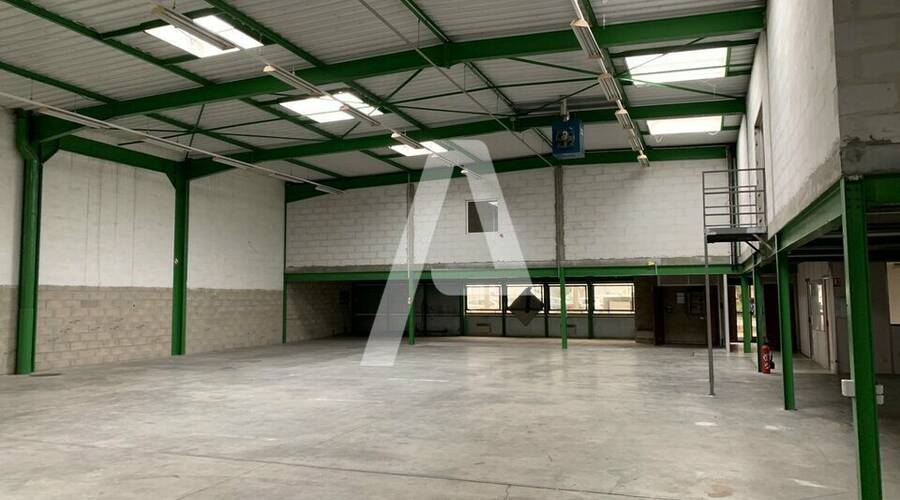 REXIM - Entrepôt - Saint-Thibault-des-Vignes - 3