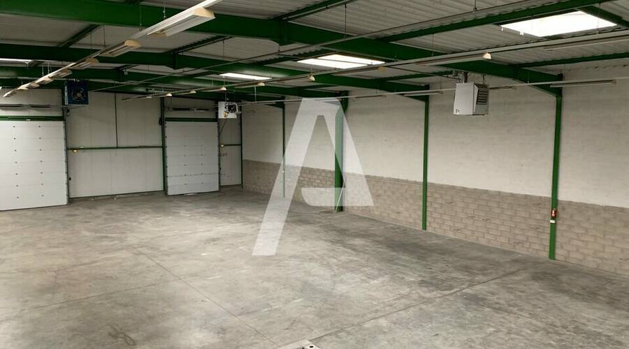 REXIM - Entrepôt - Saint-Thibault-des-Vignes - 4