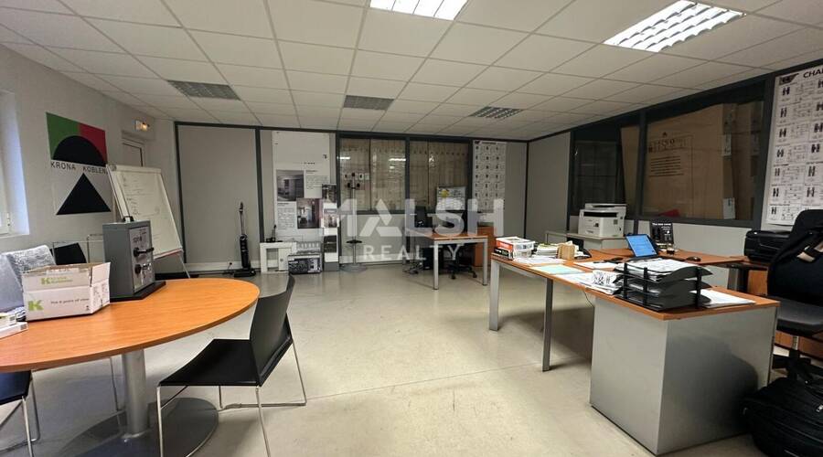 REXIM - Local d'activités - Rhône - Saint-Georges-de-Reneins - 11