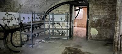 REXIM - Local commercial - Rhône - Lyon - 12