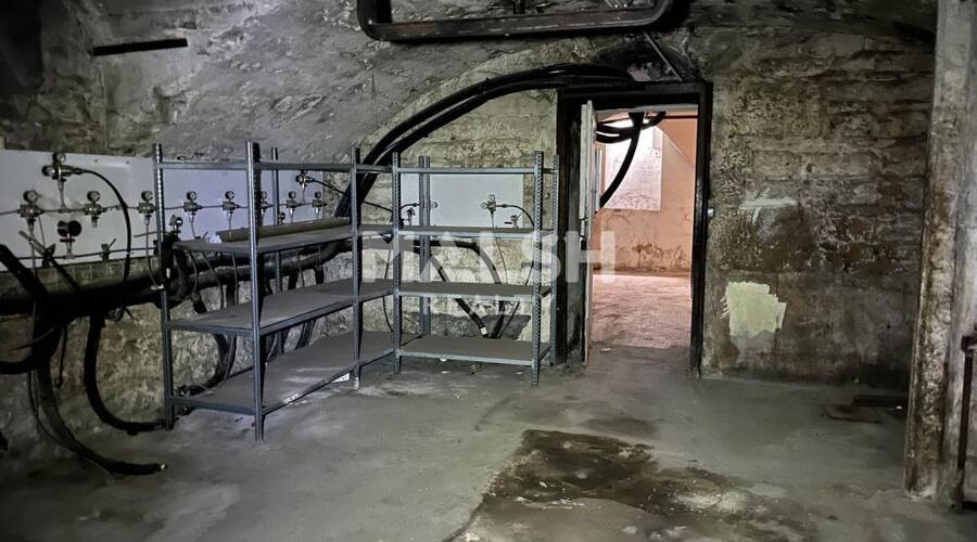 REXIM - Local commercial - Rhône - Lyon - 12