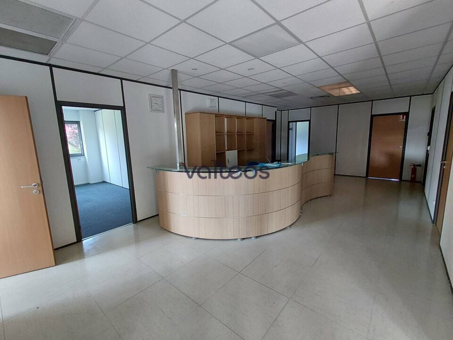 REXIM - Local d'activités - Haute-Garonne - Flourens - 2