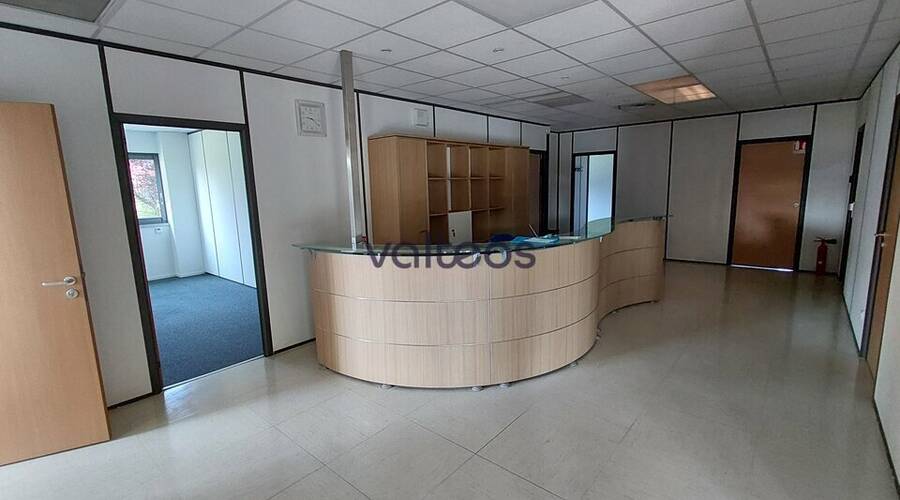 REXIM - Local d'activités - Haute-Garonne - Flourens - 2