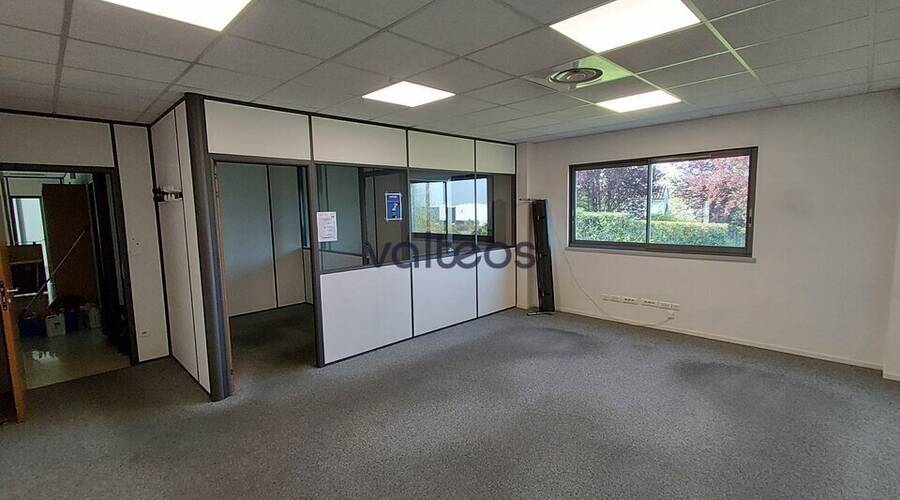 REXIM - Local d'activités - Haute-Garonne - Flourens - 4