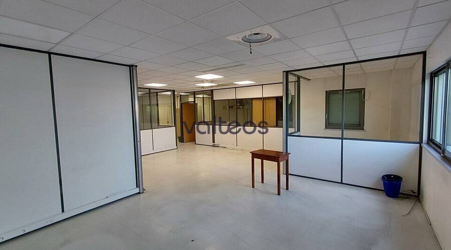 REXIM - Local d'activités - Haute-Garonne - Flourens - 9