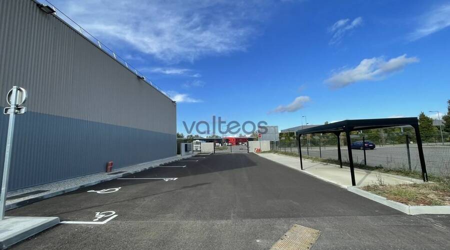 REXIM - Local d'activités - Tarn-et-Garonne - Montauban - 6