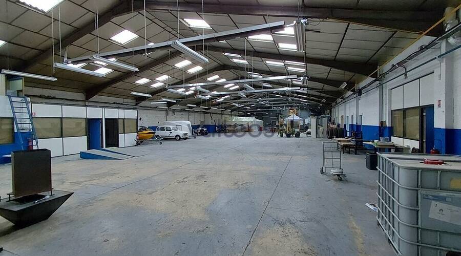 REXIM - Local d'activités - Haute-Garonne - Muret - 4