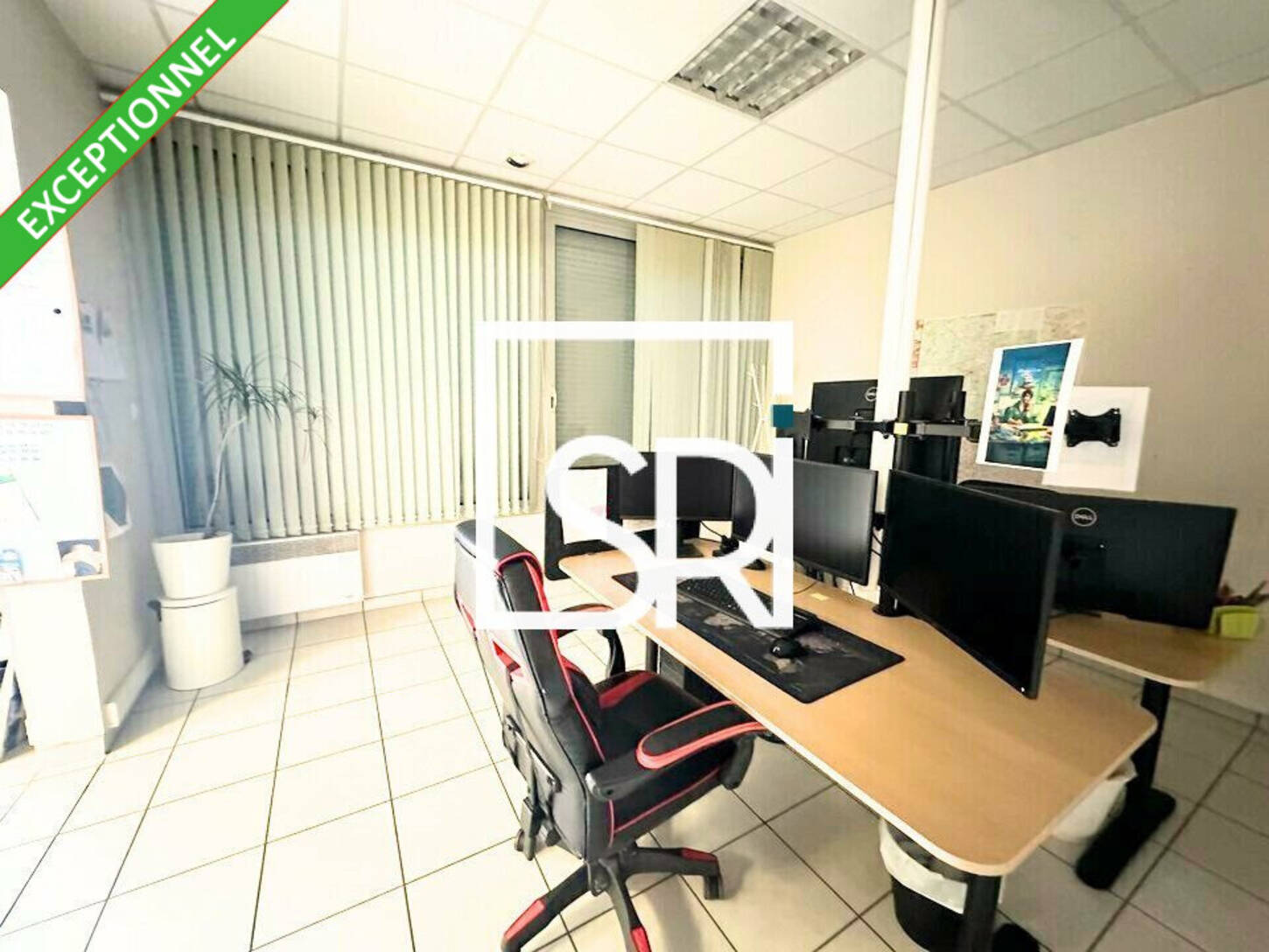 REXIM - Entrepôt - Puy-de-Dôme - Issoire - 2