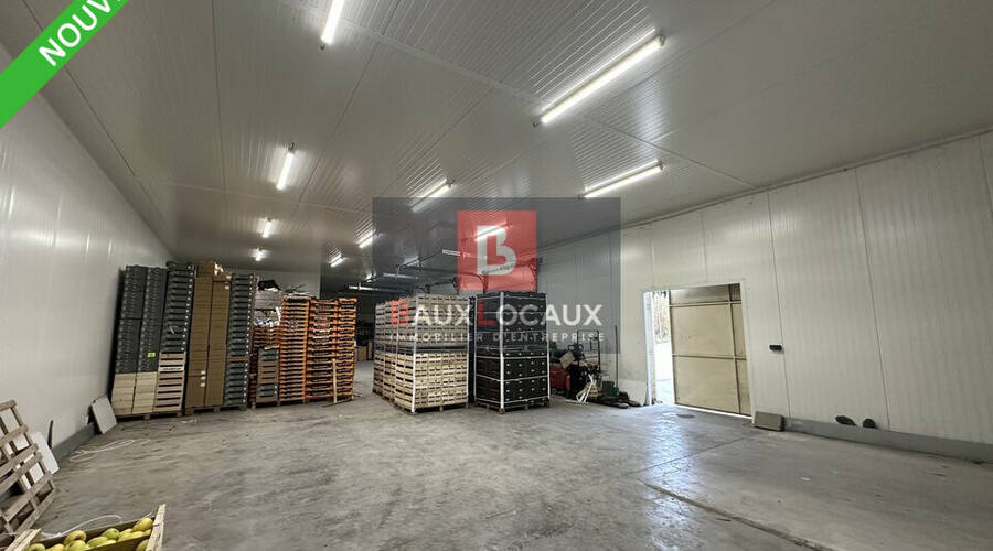 REXIM - Local d'activités - Bouches-du-Rhône - Noves - 1