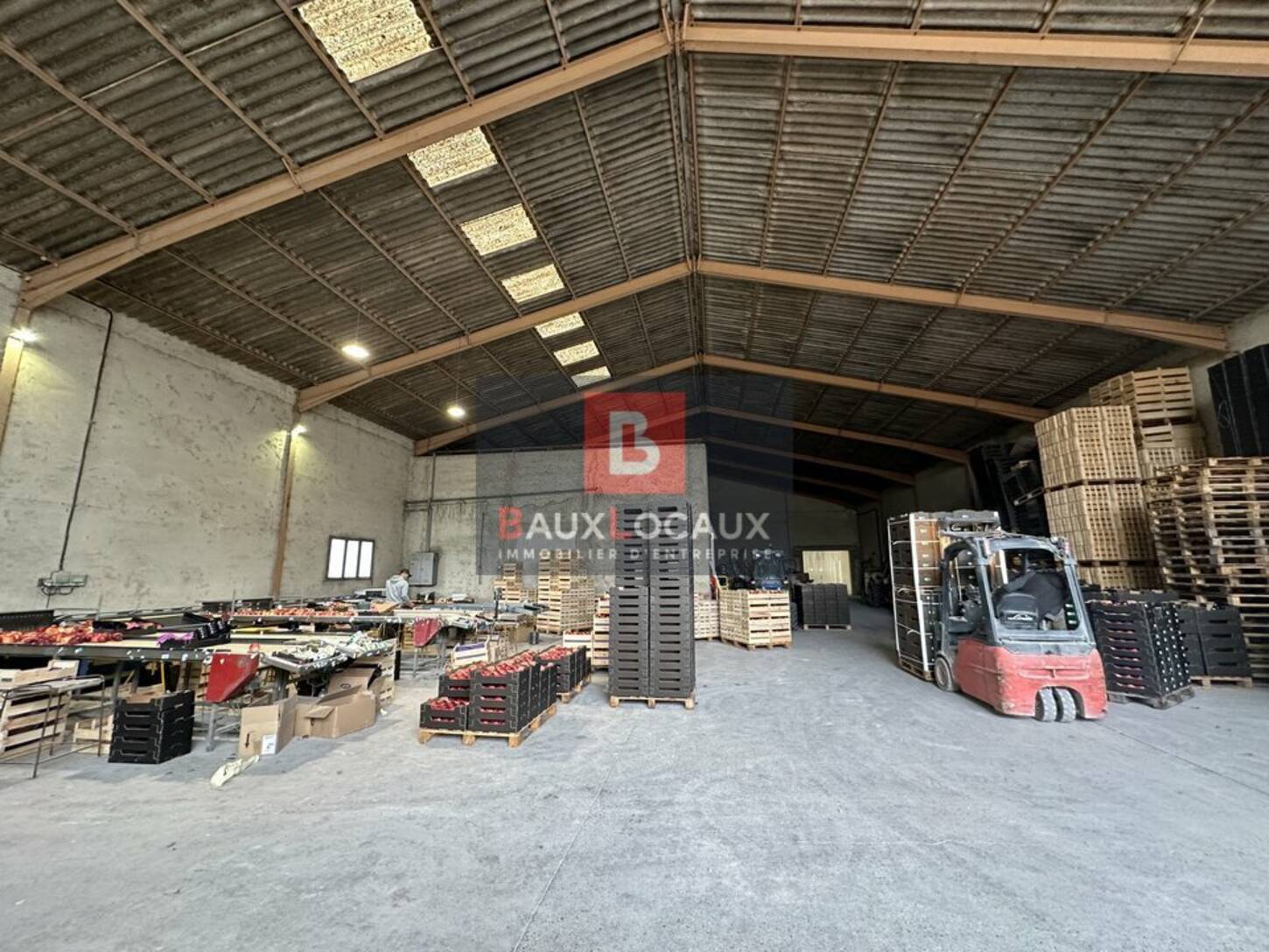 REXIM - Local d'activités - Bouches-du-Rhône - Noves - 2