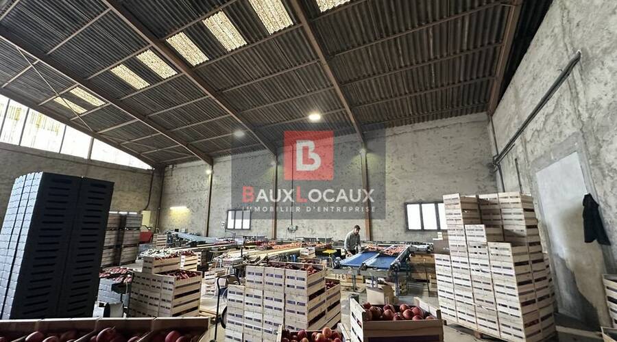 REXIM - Local d'activités - Bouches-du-Rhône - Noves - 4