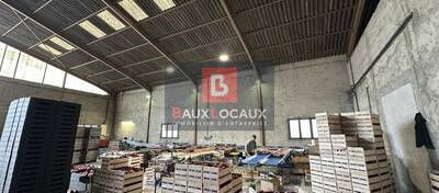 REXIM - Local d'activités - Bouches-du-Rhône - Noves - 4