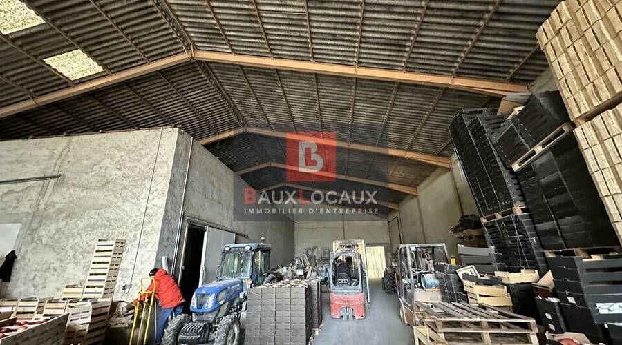 REXIM - Local d'activités - Bouches-du-Rhône - Noves - 5