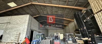 REXIM - Local d'activités - Bouches-du-Rhône - Noves - 5