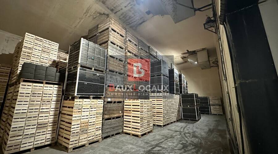 REXIM - Local d'activités - Bouches-du-Rhône - Noves - 6