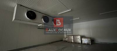 REXIM - Local d'activités - Bouches-du-Rhône - Noves - 10